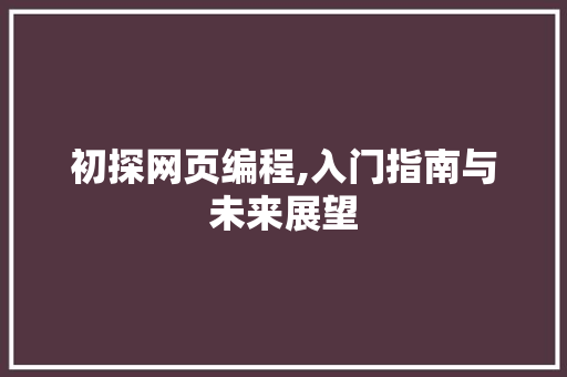初探网页编程,入门指南与未来展望