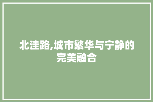 北洼路,城市繁华与宁静的完美融合