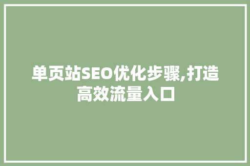 单页站SEO优化步骤,打造高效流量入口