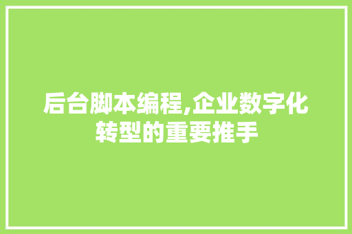 后台脚本编程,企业数字化转型的重要推手