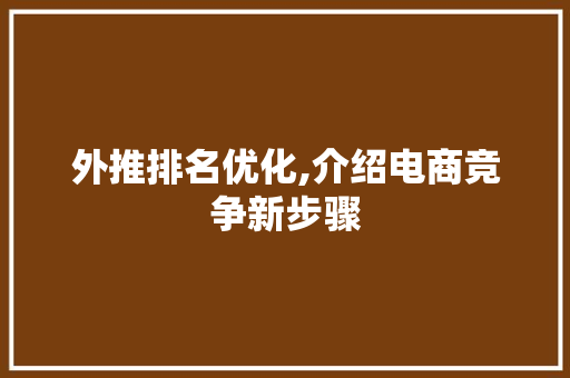 外推排名优化,介绍电商竞争新步骤