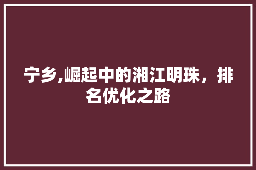 宁乡,崛起中的湘江明珠，排名优化之路