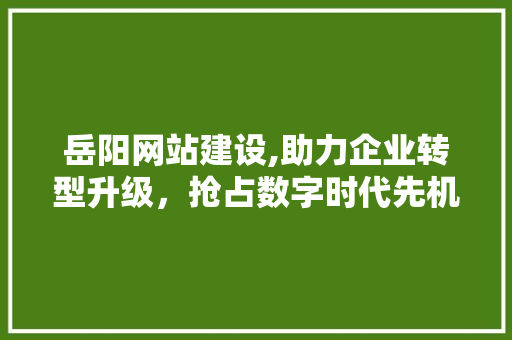 岳阳网站建设,助力企业转型升级，抢占数字时代先机
