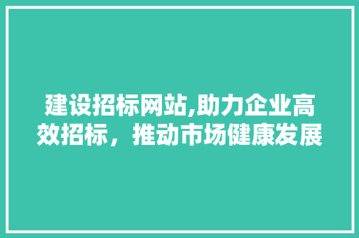 建设招标网站,助力企业高效招标，推动市场健康发展