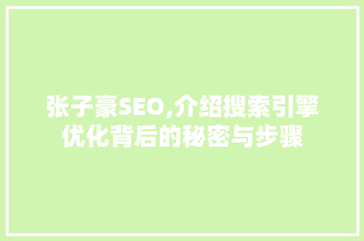 张子豪SEO,介绍搜索引擎优化背后的秘密与步骤