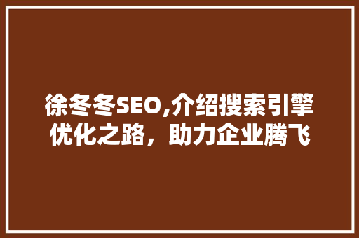 徐冬冬SEO,介绍搜索引擎优化之路，助力企业腾飞