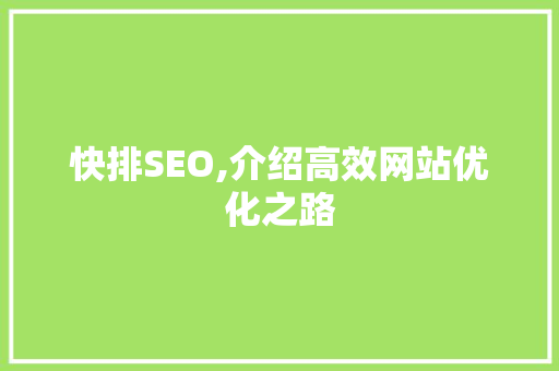 快排SEO,介绍高效网站优化之路