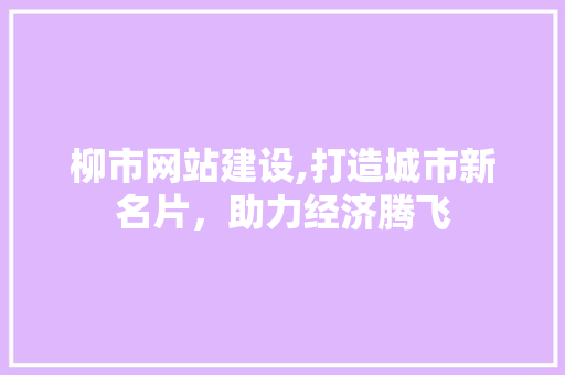 柳市网站建设,打造城市新名片，助力经济腾飞