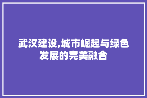 武汉建设,城市崛起与绿色发展的完美融合