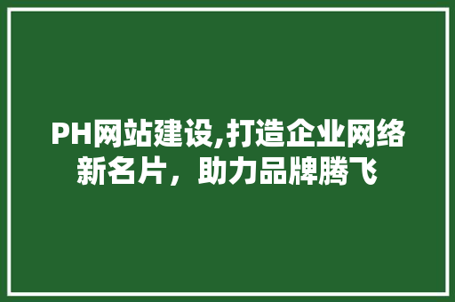PH网站建设,打造企业网络新名片，助力品牌腾飞