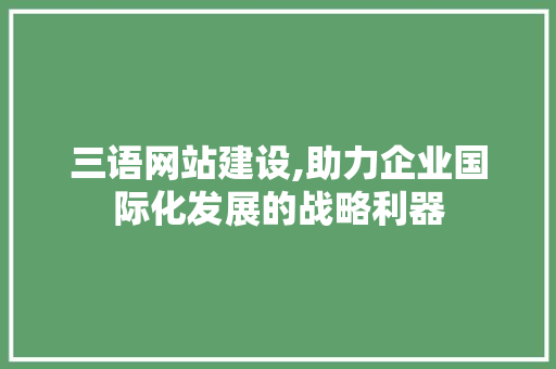 三语网站建设,助力企业国际化发展的战略利器