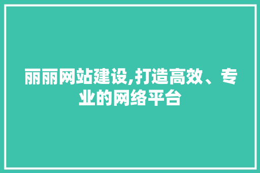丽丽网站建设,打造高效、专业的网络平台