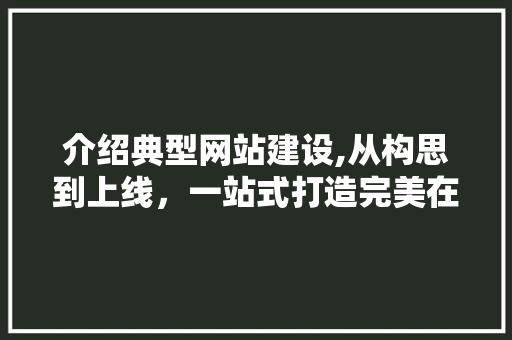 介绍典型网站建设,从构思到上线，一站式打造完美在线平台