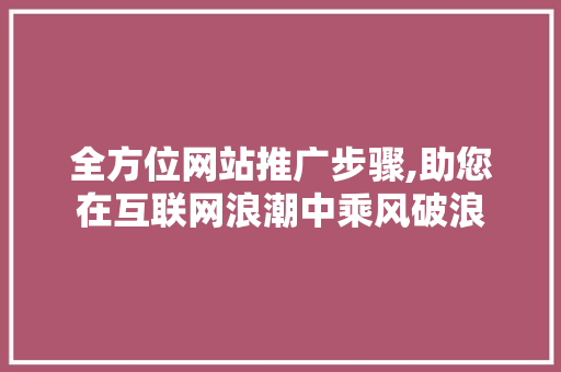全方位网站推广步骤,助您在互联网浪潮中乘风破浪