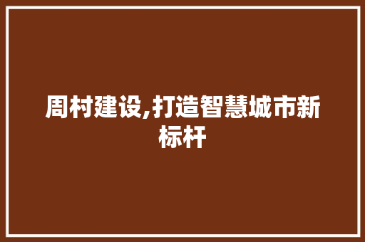 周村建设,打造智慧城市新标杆