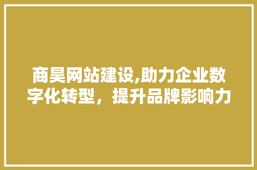 商昊网站建设,助力企业数字化转型，提升品牌影响力