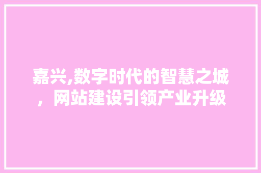 嘉兴,数字时代的智慧之城，网站建设引领产业升级