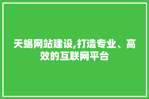 天蝎网站建设,打造专业、高效的互联网平台