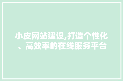 小皮网站建设,打造个性化、高效率的在线服务平台
