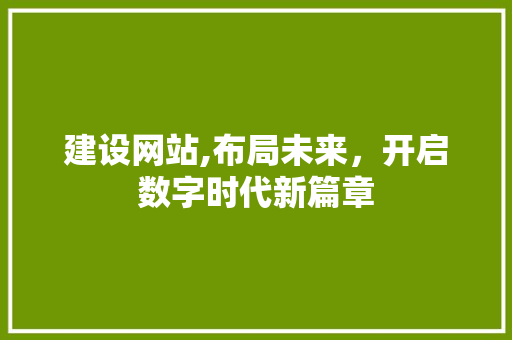 建设网站,布局未来，开启数字时代新篇章