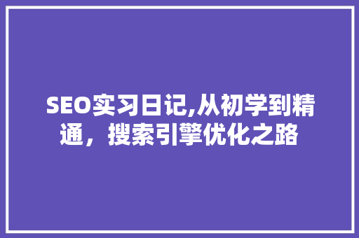 SEO实习日记,从初学到精通，搜索引擎优化之路
