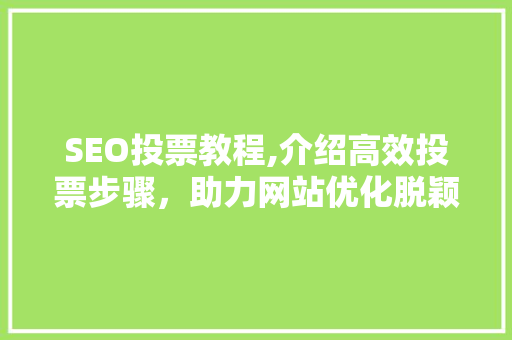 SEO投票教程,介绍高效投票步骤，助力网站优化脱颖而出