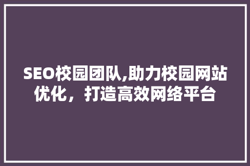 SEO校园团队,助力校园网站优化，打造高效网络平台