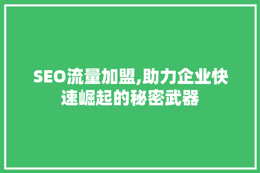 SEO流量加盟,助力企业快速崛起的秘密武器