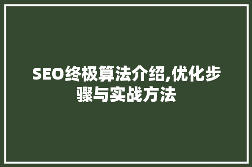 SEO终极算法介绍,优化步骤与实战方法