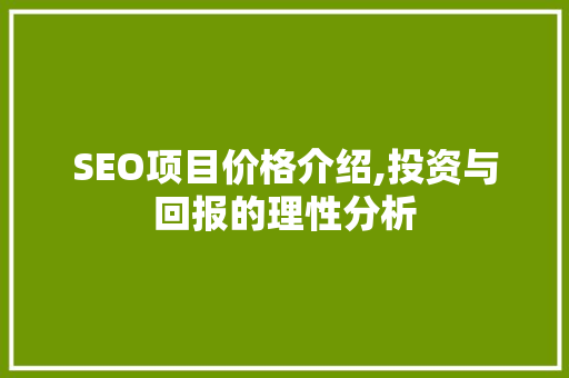 SEO项目价格介绍,投资与回报的理性分析