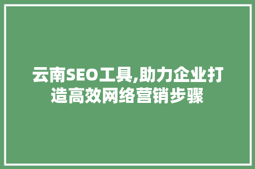 云南SEO工具,助力企业打造高效网络营销步骤
