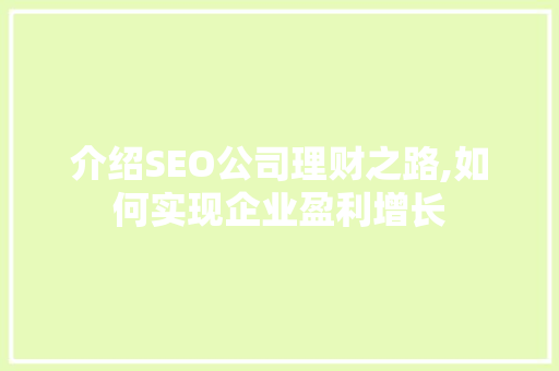 介绍SEO公司理财之路,如何实现企业盈利增长