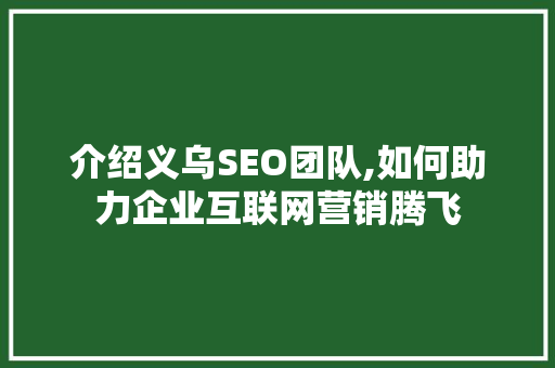 介绍义乌SEO团队,如何助力企业互联网营销腾飞