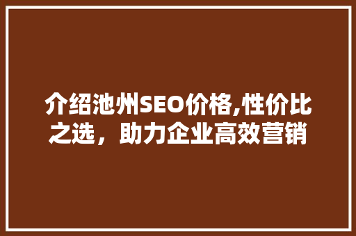 介绍池州SEO价格,性价比之选，助力企业高效营销
