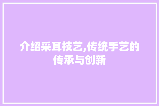 介绍采耳技艺,传统手艺的传承与创新