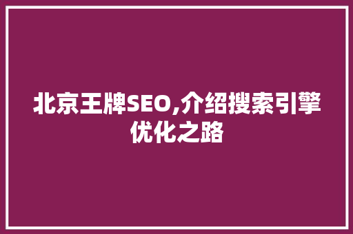 北京王牌SEO,介绍搜索引擎优化之路
