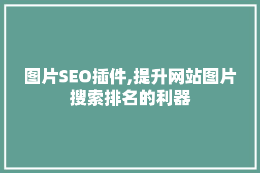 图片SEO插件,提升网站图片搜索排名的利器