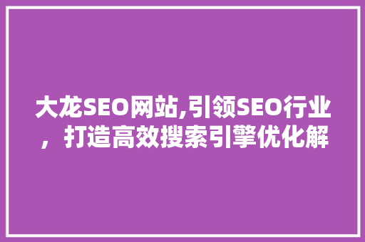 大龙SEO网站,引领SEO行业，打造高效搜索引擎优化解决方法