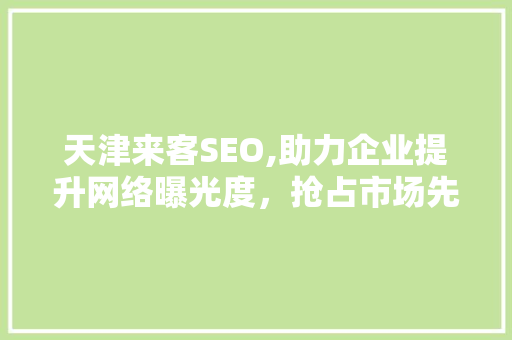 天津来客SEO,助力企业提升网络曝光度，抢占市场先机