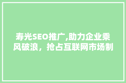 寿光SEO推广,助力企业乘风破浪，抢占互联网市场制高点