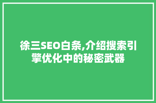 徐三SEO白条,介绍搜索引擎优化中的秘密武器