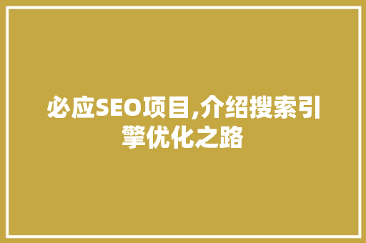 必应SEO项目,介绍搜索引擎优化之路