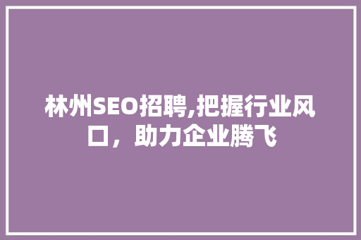 林州SEO招聘,把握行业风口，助力企业腾飞
