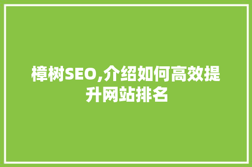 樟树SEO,介绍如何高效提升网站排名