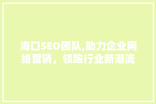 海口SEO团队,助力企业网络营销，领跑行业新潮流