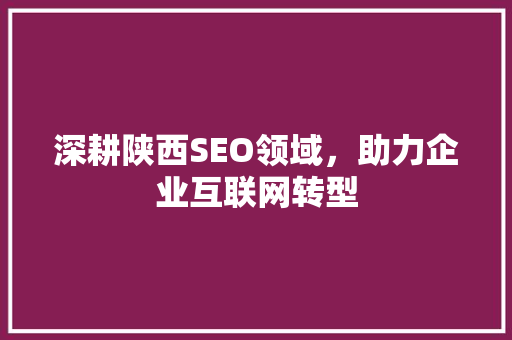 深耕陕西SEO领域，助力企业互联网转型
