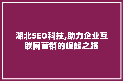 湖北SEO科技,助力企业互联网营销的崛起之路