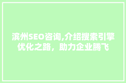 滨州SEO咨询,介绍搜索引擎优化之路，助力企业腾飞