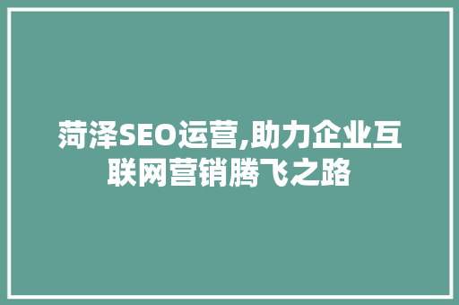 菏泽SEO运营,助力企业互联网营销腾飞之路