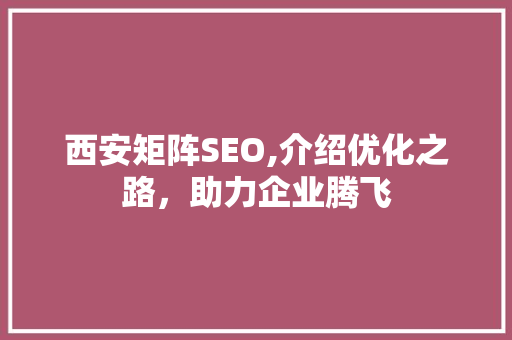 西安矩阵SEO,介绍优化之路，助力企业腾飞